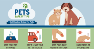 Pet Safety Tips English