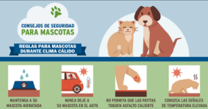 Pet Safety Tips Spanish